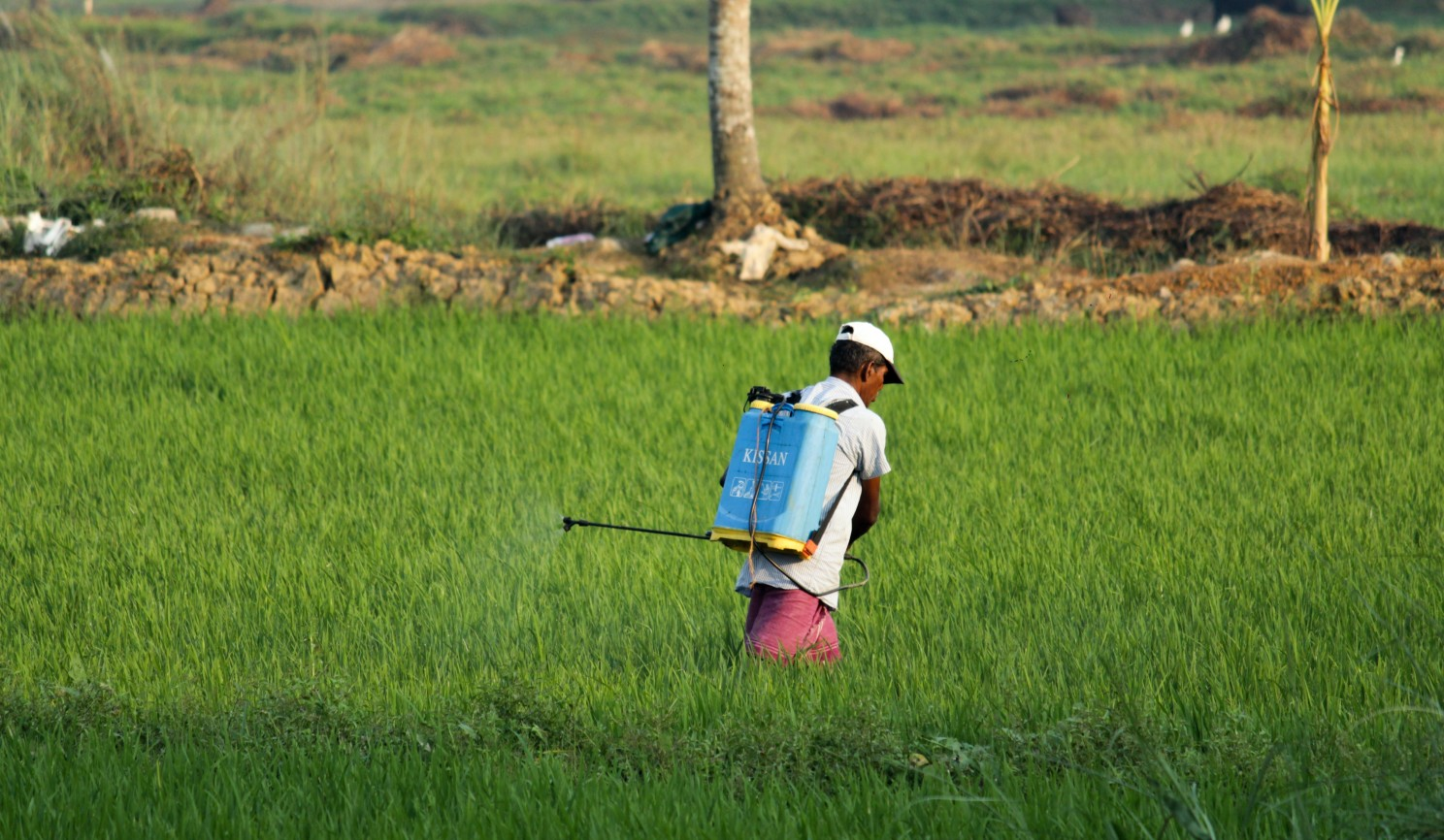 Chemical Usage in Agriculture