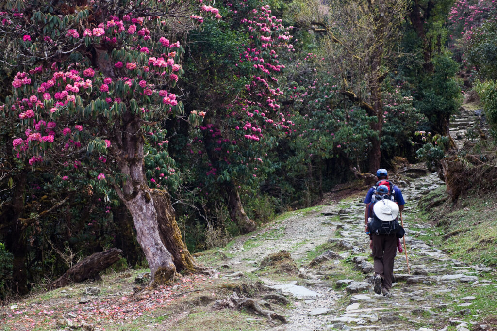 Eco Tourism